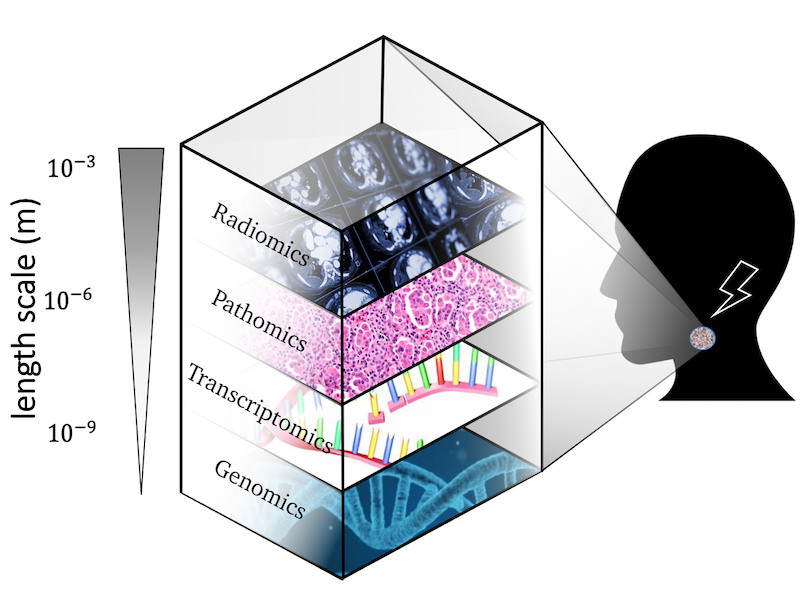 Radiomics, pathomics, transcriptomics, genomics