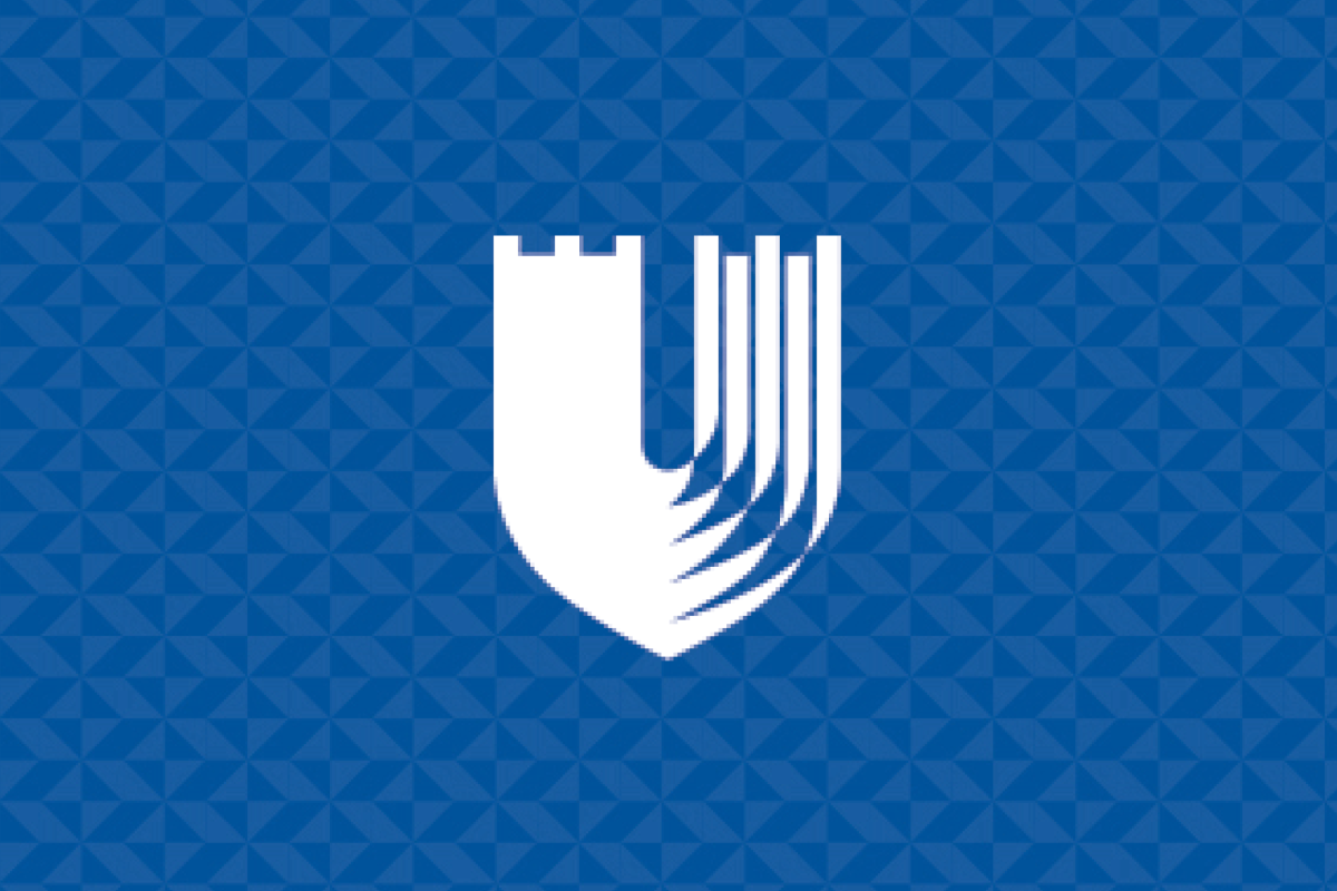 Duke shield on patterned background