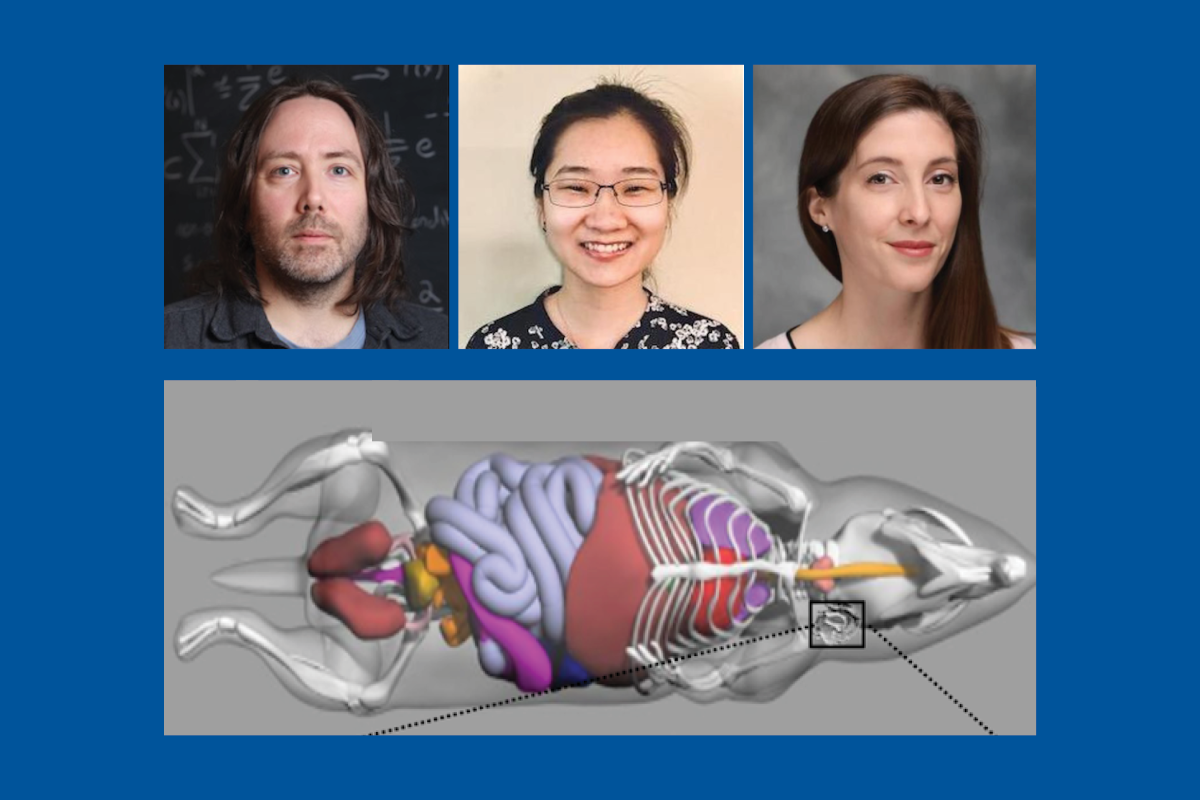 Kyle Lafata, PhD; Casey Lee, PhD; and Megan Russ, PhD