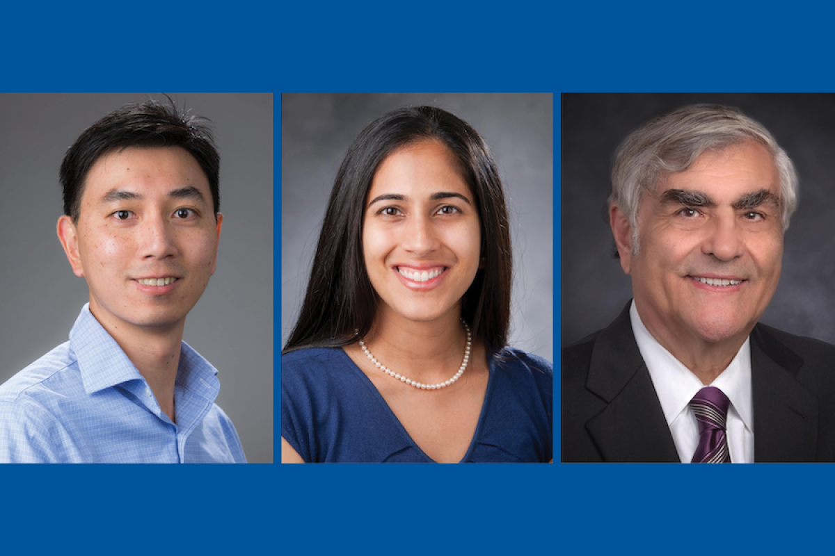 Drs. Lee, Palta and Pizzo