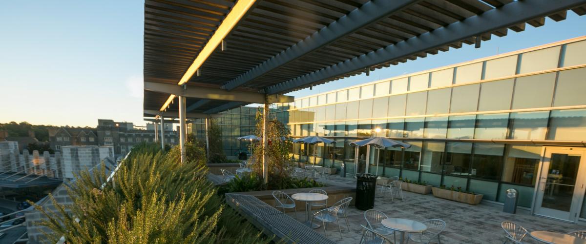 Duke Cancer Institute rooftop garden