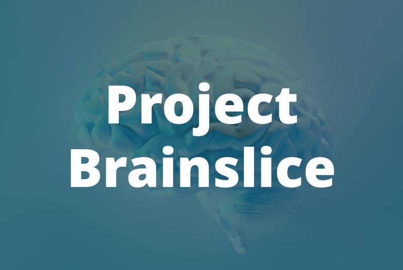 Project Brainslice