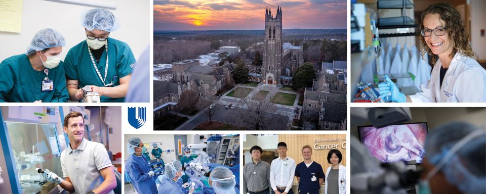 Collage of photos from annual report