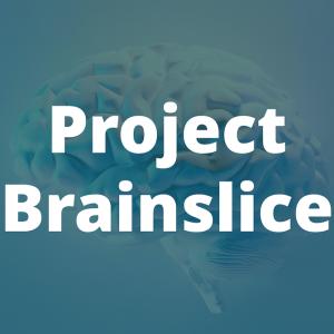 Project Brainslice