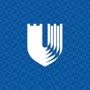 Duke shield on patterned background