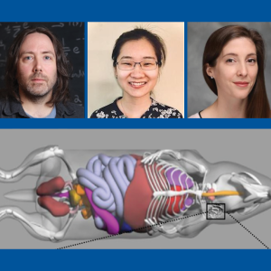 Kyle Lafata, PhD; Casey Lee, PhD; and Megan Russ, PhD