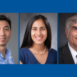 Drs. Lee, Palta and Pizzo